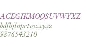 Kis W01 Italic V1