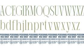 Allegra Display Demo