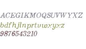 Appareo W01 Medium Italic