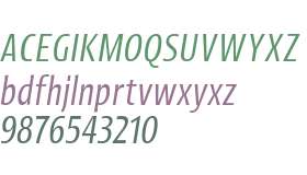 Picador Sans Test Book Italic