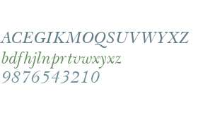 QTBasker Italic