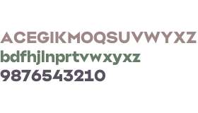 TRY Yocco ExtraBold Bright