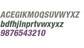 Helvetica Neue LT W0287HvCnObl