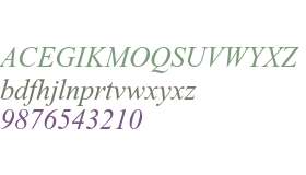 Times New Roman PS Std Italic