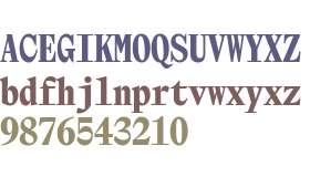 NaN Tragedy Display Mono TRIAL Black