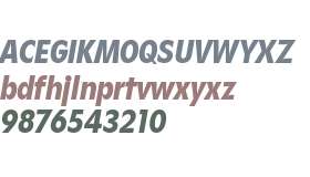 Gosh Trial Black Cond Italic