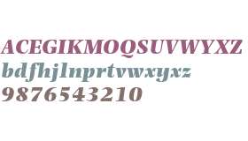 Photina MT Std Ultra Bold Italic