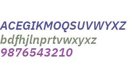 IBM Plex Sans SemiBold Italic