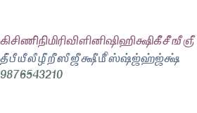 TAM-Tamil133