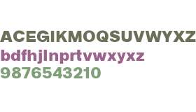 Bastardo Grotesk Black