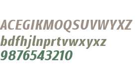 Mally Condensed Bold Italic