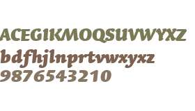 Linotype Syntax Letter W01 BkIt