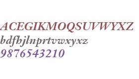 Janson Text W04 76 Bold Italic