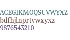 Zin Serif Cond