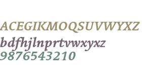 Linotype Syntax Serif W01 Bd It