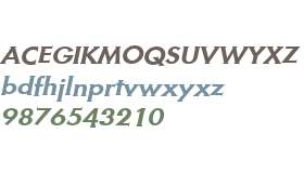 Metra Serif W01 Oblique