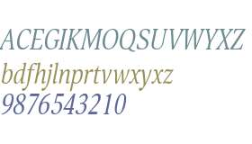 Orbi Narrow Italic W08 Regular