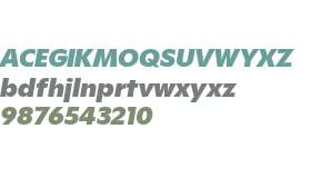 Gosh Trial Heavy Italic