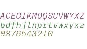 PP Fraktion Mono Italic