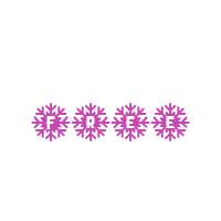 Snow Star Type