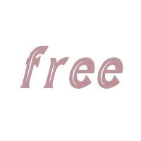 Wild Bandit Serif Hole