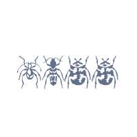 Stans Rhadamanthuss BeetlesW95