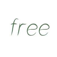 Flower In The Window