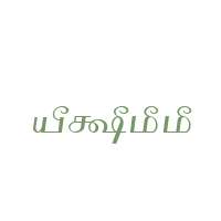 Tam_Shakti_9