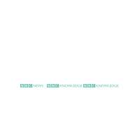 BBC Striped Channel Logos