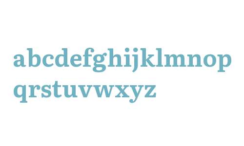 Literata Book Fonts Downloads - OnlineWebFonts.COM