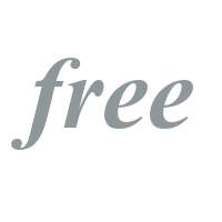 Times New Roman Bold Italic V1