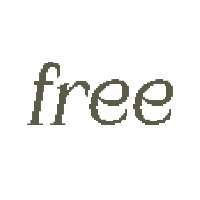 Amstir Pixel Demo