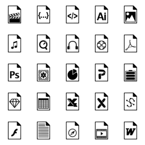 File Format 
