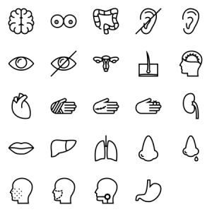 Organs Outline 