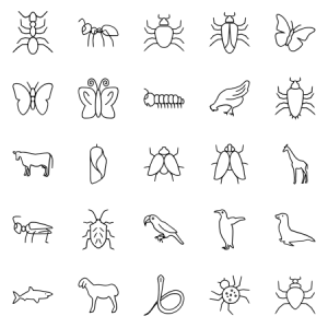 Animals Insects Line 