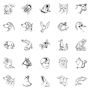 Contour Animals 