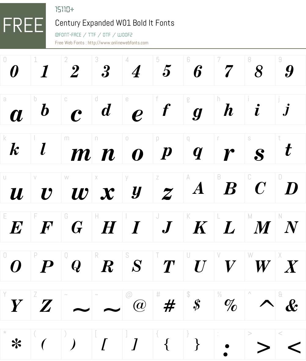 CenturyExpandedW01-BoldIt Font Screenshots