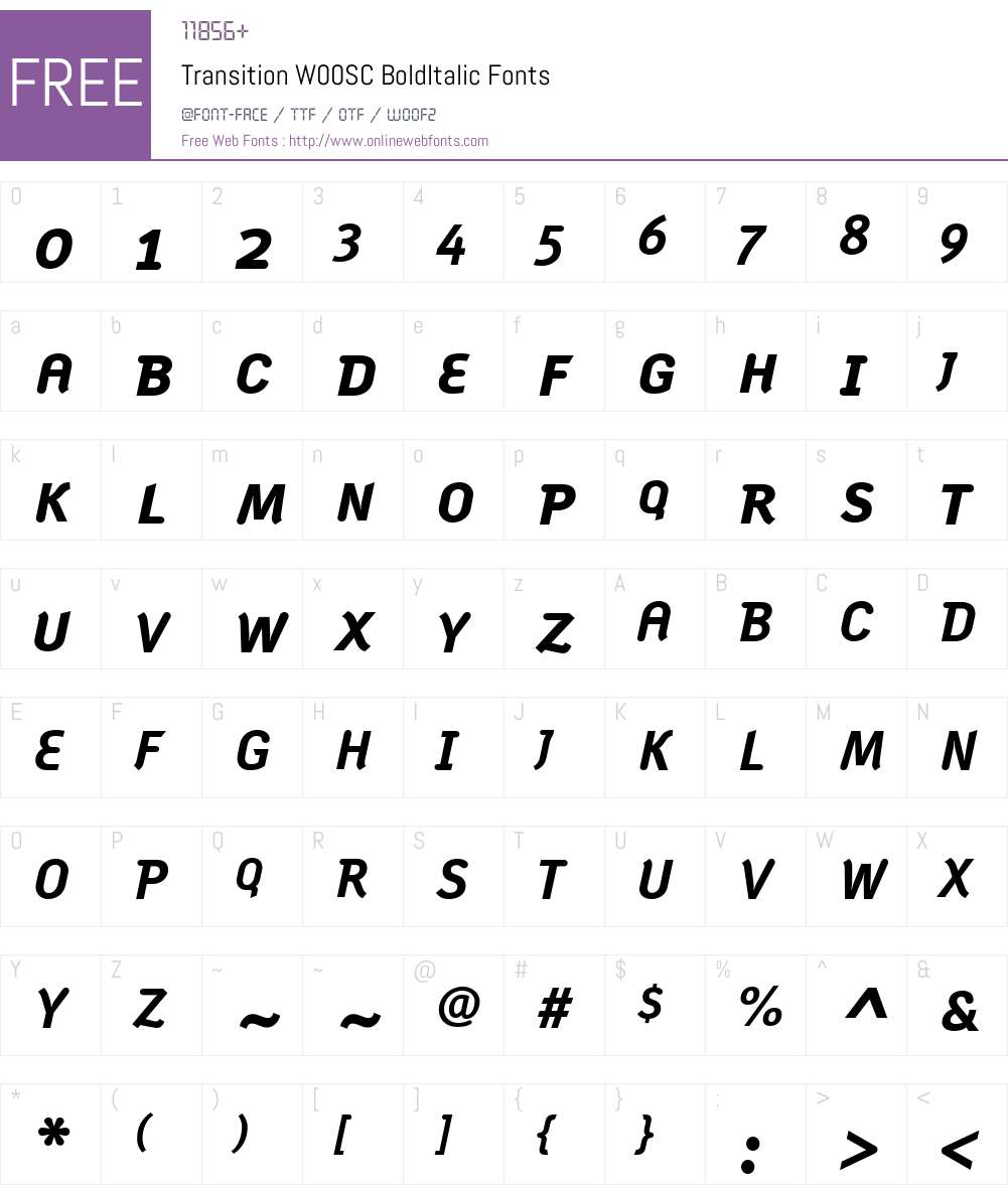TransitionW00SC-BoldItalic Font Screenshots
