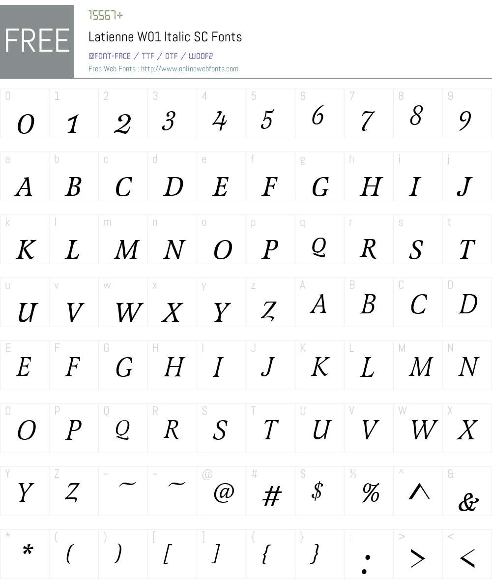 LatienneW01-ItalicSC Font Screenshots