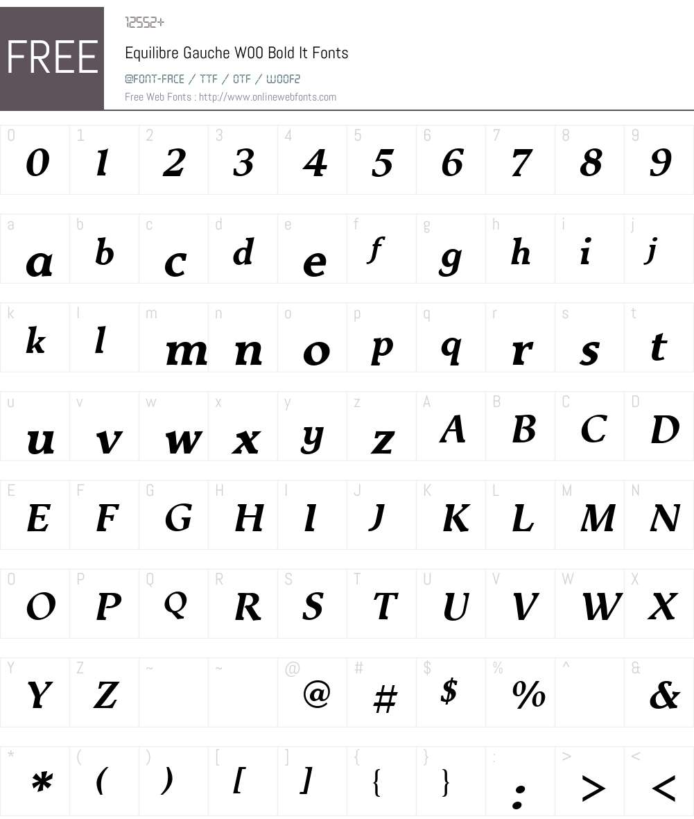EquilibreGaucheW00-BoldIt Font Screenshots