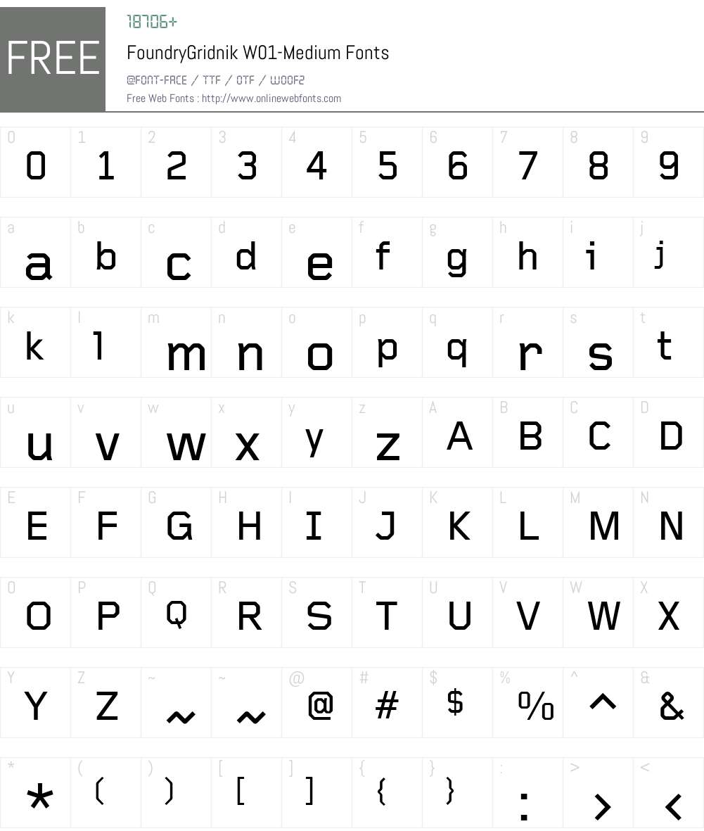 FoundryGridnikW01-Medium Font Screenshots