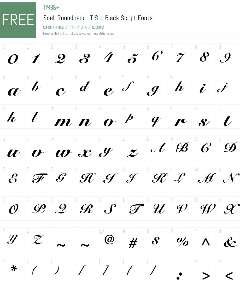 Snell Roundhand LT Std Font Screenshots