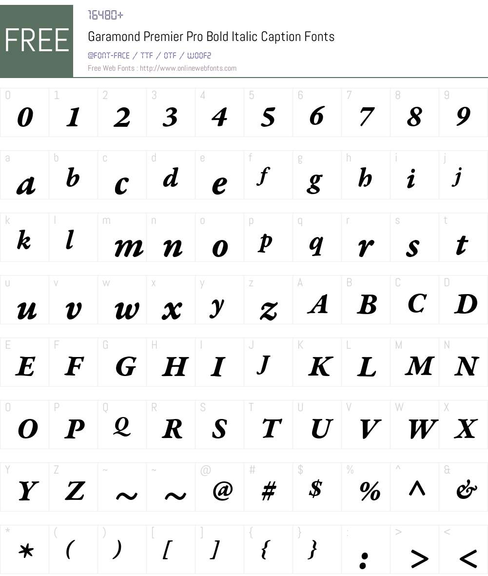 Garamond Premier Pro Font Screenshots