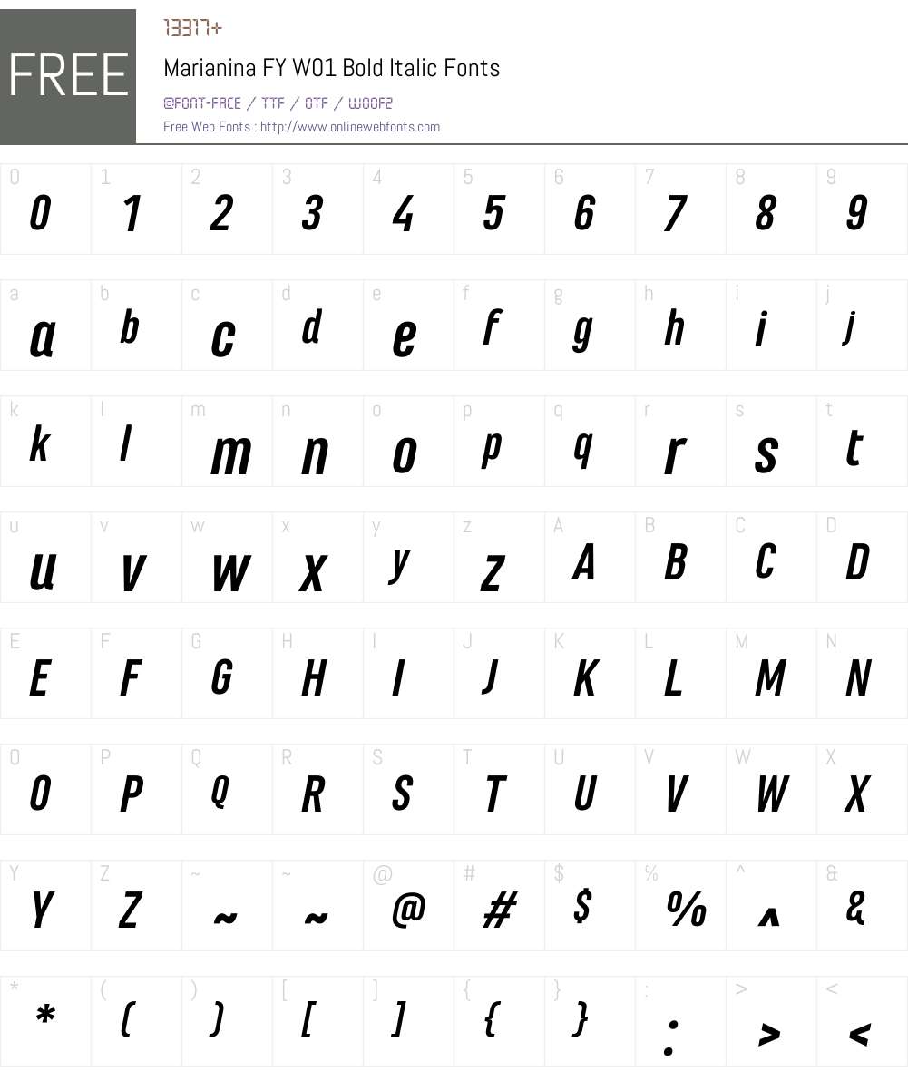 MarianinaFYW01-BoldItalic Font Screenshots