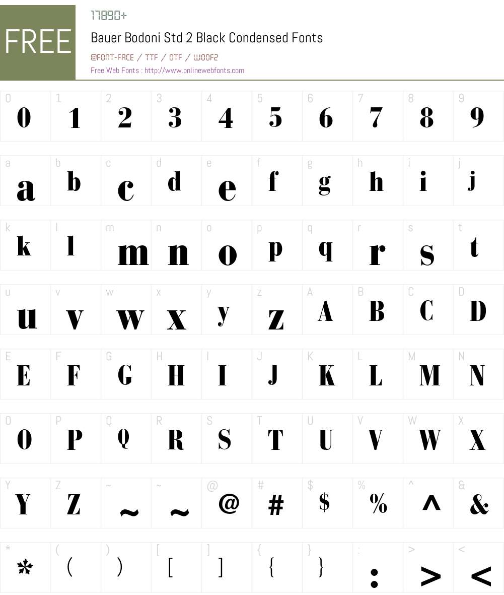 Bauer Bodoni Std 2 Font Screenshots