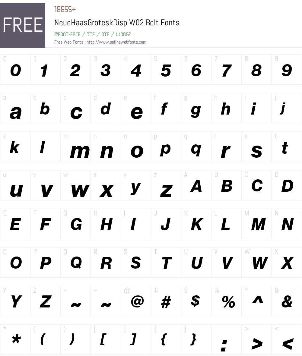 NHaasGroteskDSW02-76BdIt Font Screenshots