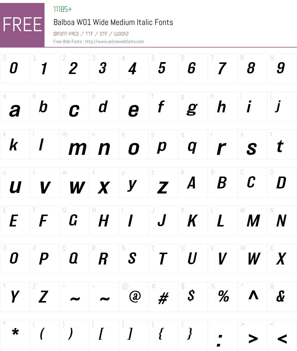 BalboaW01-WideMediumItalic Font Screenshots