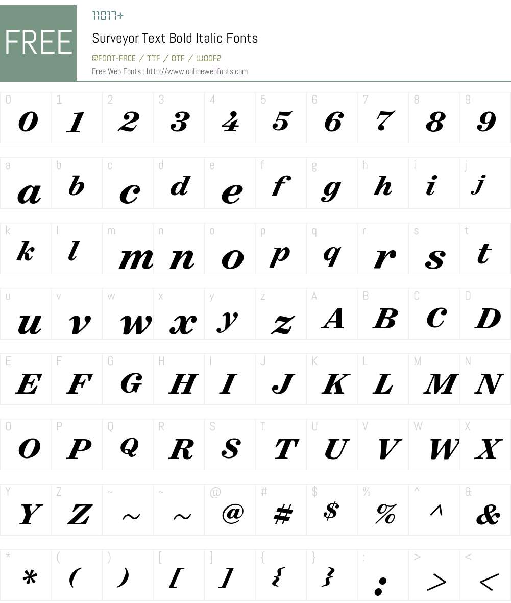 Surveyor Text Bold Font Screenshots