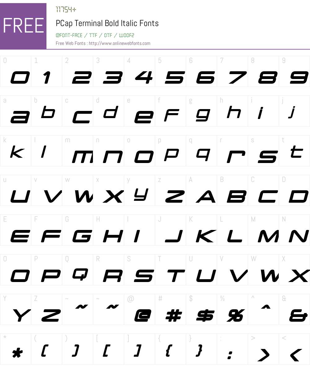 PCap Terminal Font Screenshots