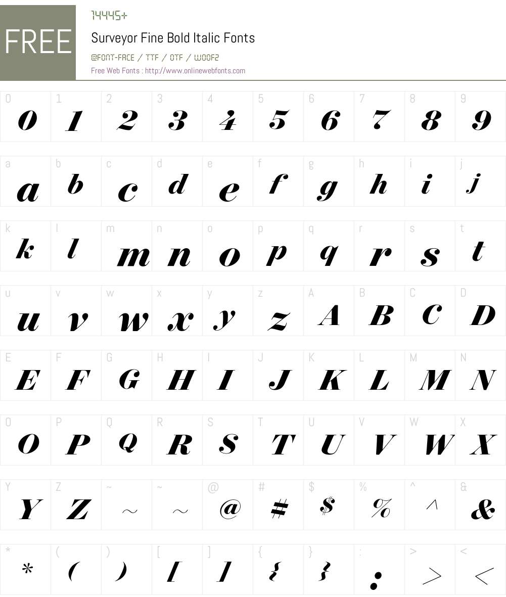 Surveyor Fine Bold Font Screenshots
